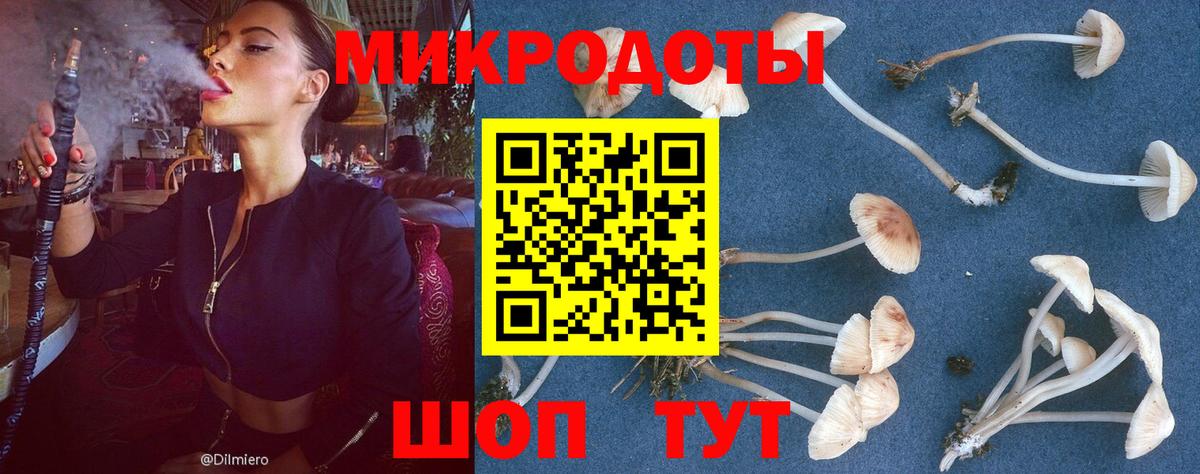 Сочи  купить   Галлюциногенные грибы Psilocybe  Вход с VPN  Псилоцибиновые грибы мухоморы 